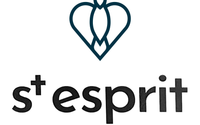 Distillerie du Saint-Esprit logo